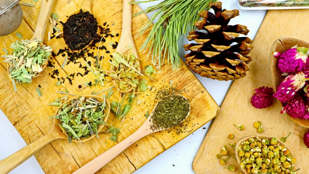 Selection of herbs, leaves and dried botanical ingredients