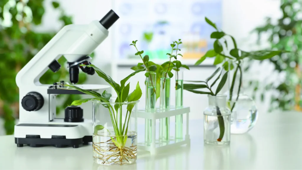Plants and laboratory equipment used to illustrate botanical research